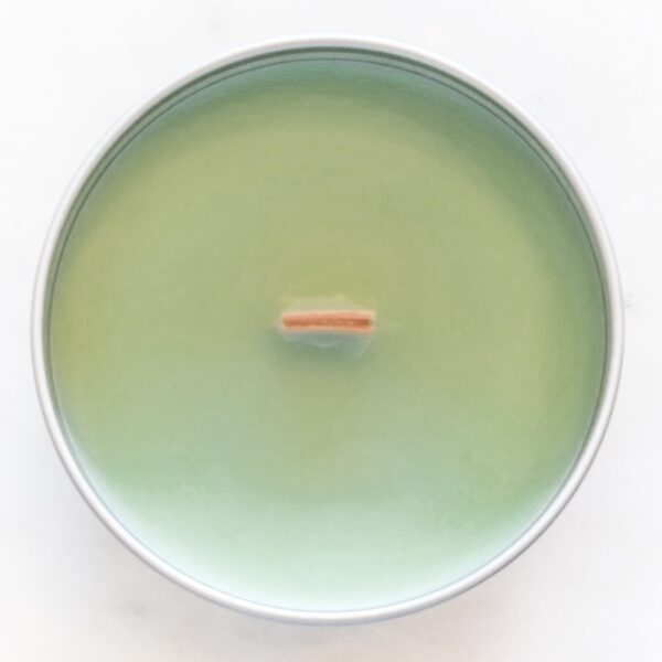 TURTLE PIZZA: Pizza Scented Wood Wick Soy Candle