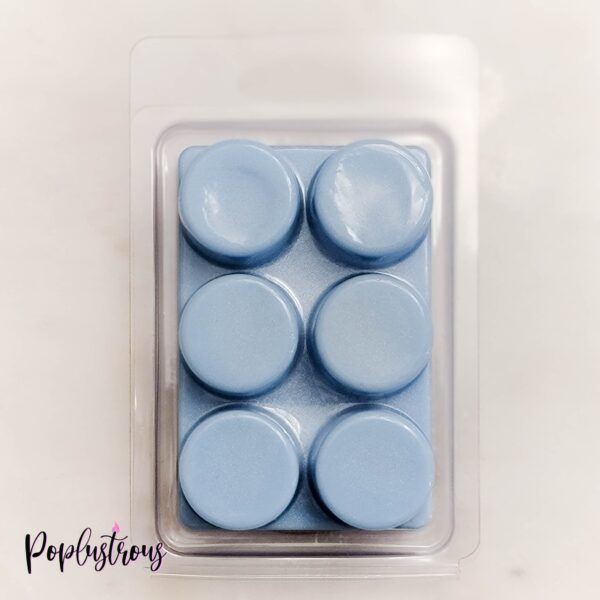 HOTARU'S RAMUNE: Japanese Soda Scented Shimmering Soy Wax Melts