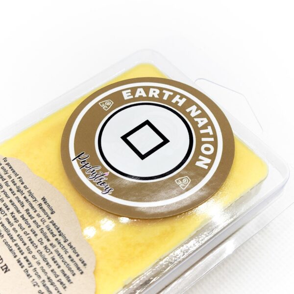 EARTH NATION: Lemon Sandalwood Scented Soy Wax Melts