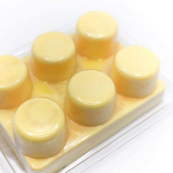 EARTH NATION: Lemon Sandalwood Scented Soy Wax Melts
