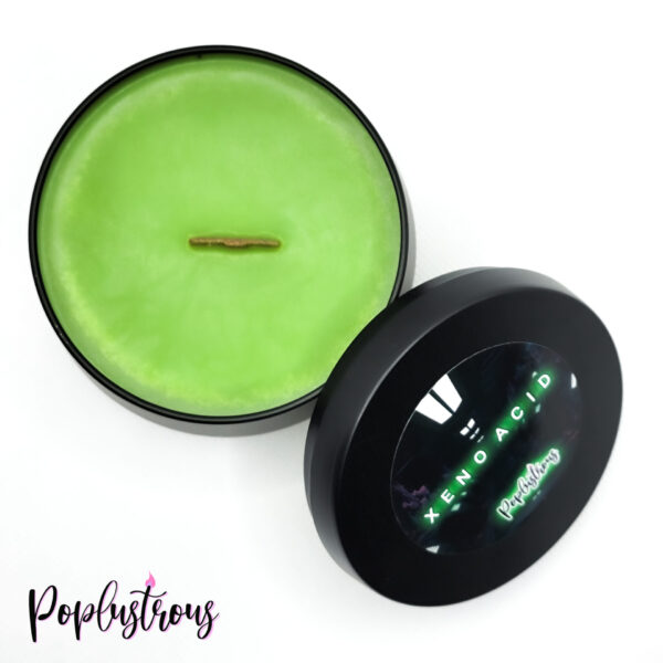 XENO ACID | Sugar Plum Sangria Scented Soy Candle